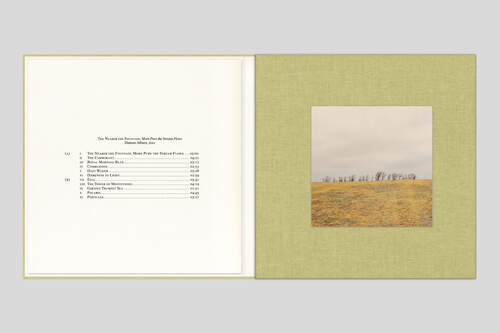 Damon Albarn ‎– The Nearer The Fountain, More Pure The Stream Flows - Edition limitée super deluxe Vinyle